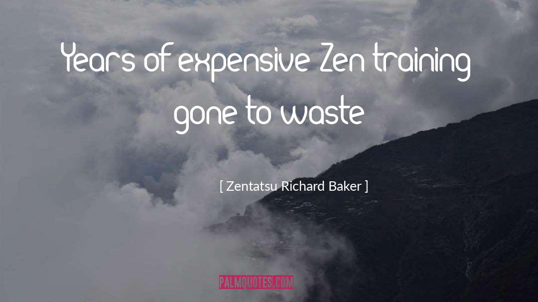 Zentatsu Richard Baker Quotes: Years of expensive Zen training