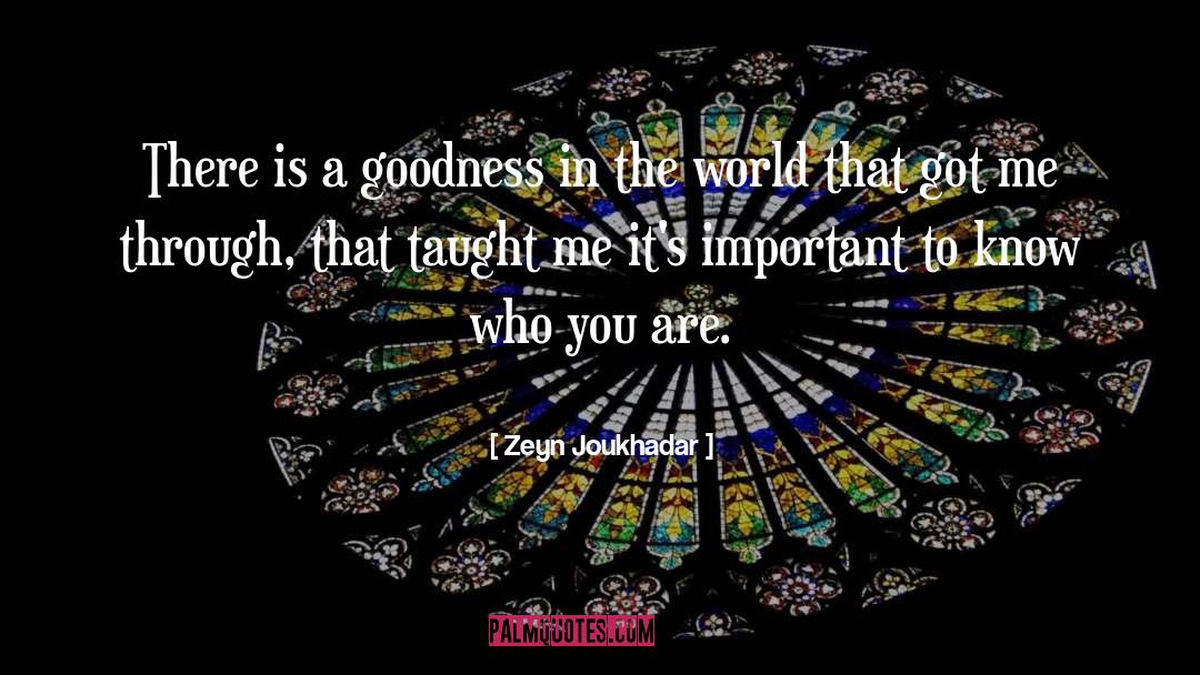 Zeyn Joukhadar Quotes: There is a goodness in
