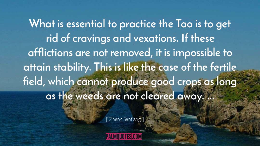 Zhang Sanfeng Quotes: What is essential to practice
