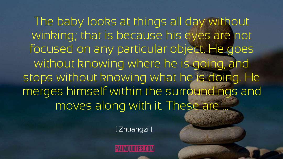 Zhuangzi Quotes: The baby looks at things