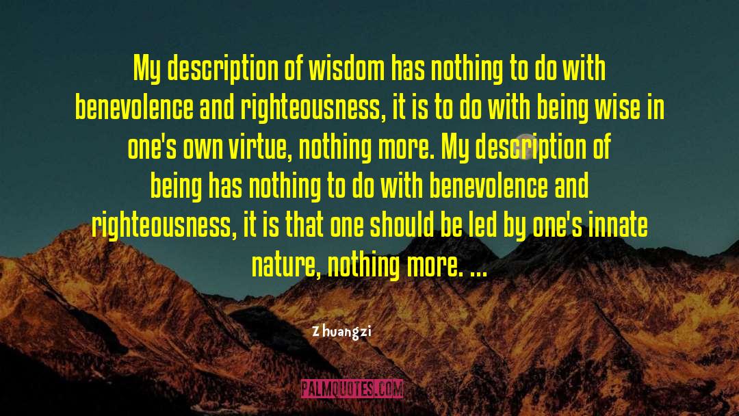 Zhuangzi Quotes: My description of wisdom has