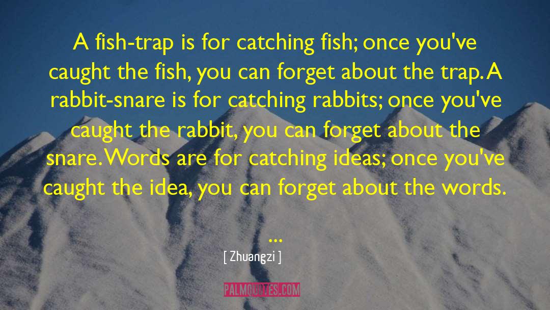 Zhuangzi Quotes: A fish-trap is for catching