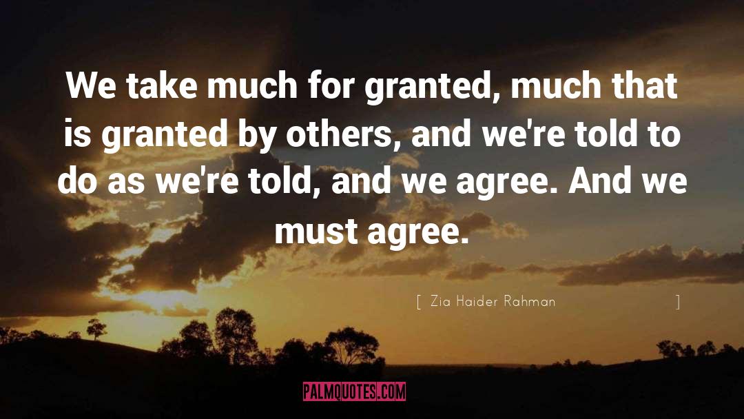 Zia Haider Rahman Quotes: We take much for granted,