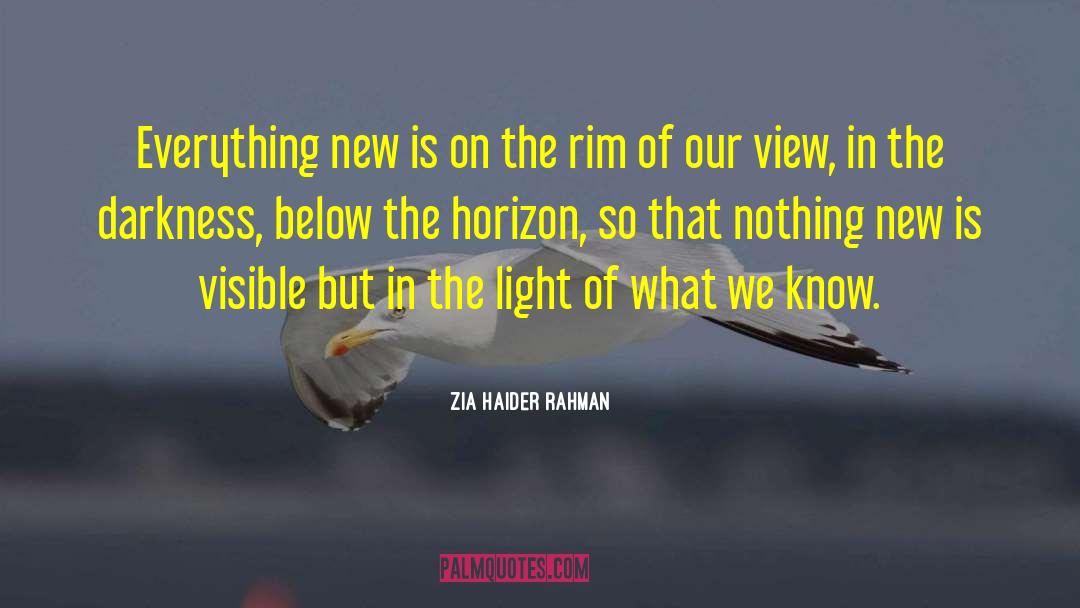 Zia Haider Rahman Quotes: Everything new is on the