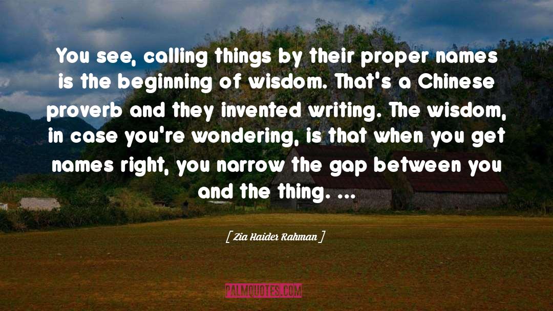 Zia Haider Rahman Quotes: You see, calling things by