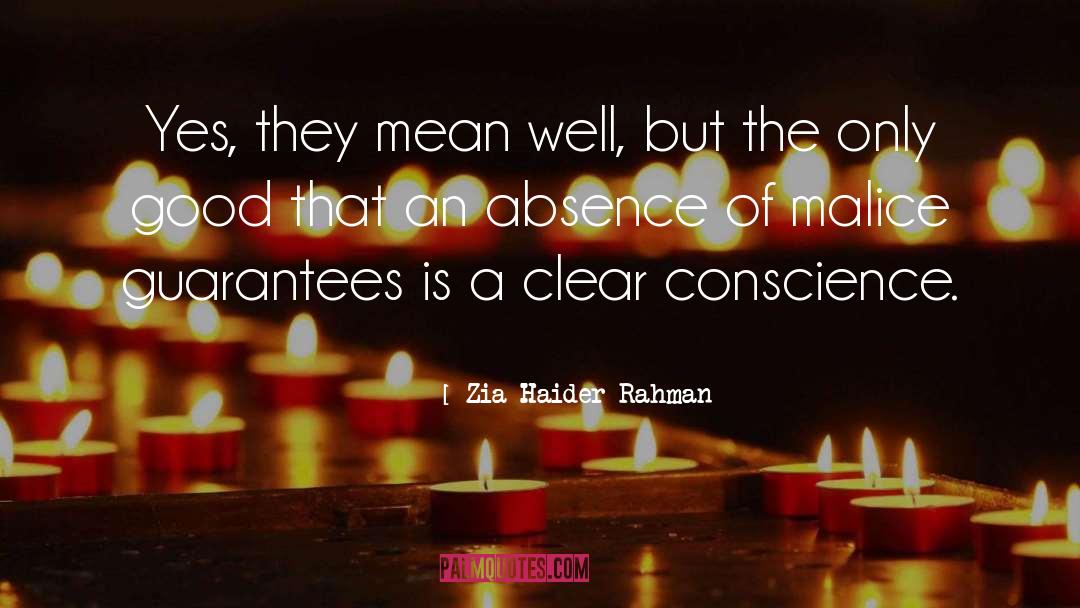 Zia Haider Rahman Quotes: Yes, they mean well, but