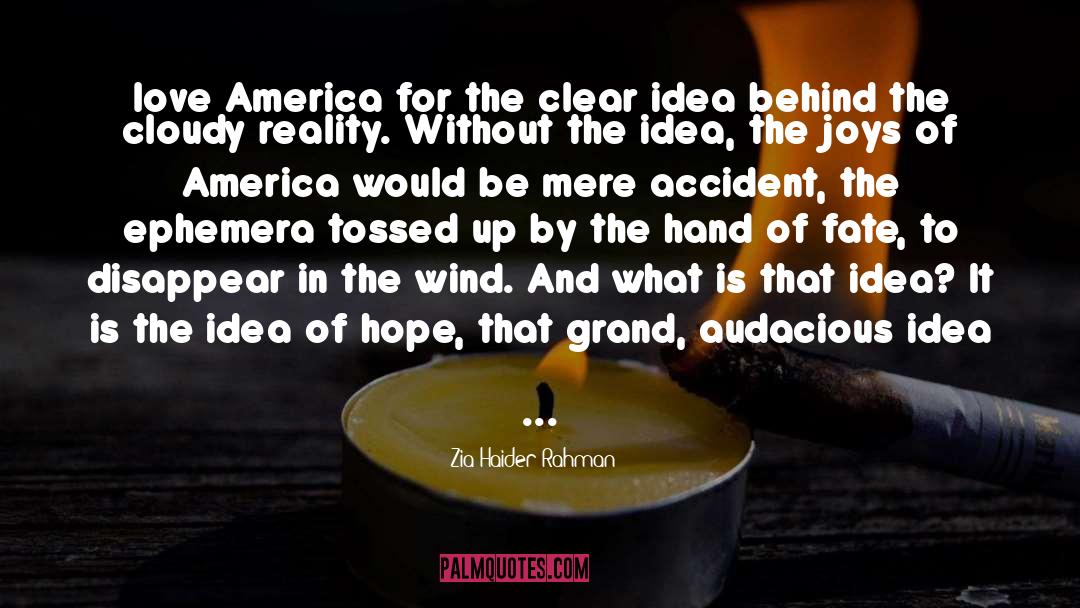 Zia Haider Rahman Quotes: love America for the clear