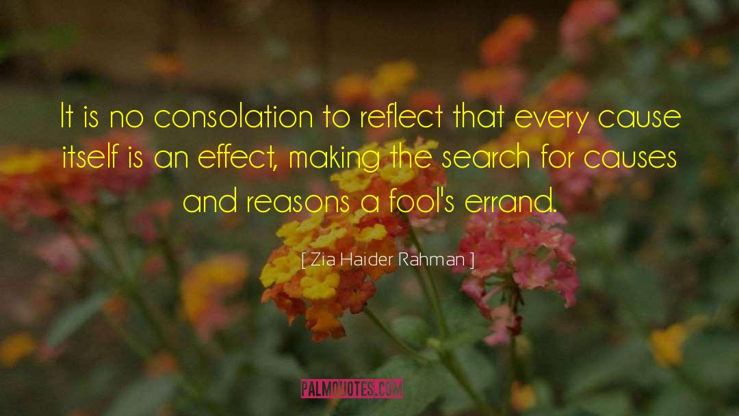 Zia Haider Rahman Quotes: It is no consolation to