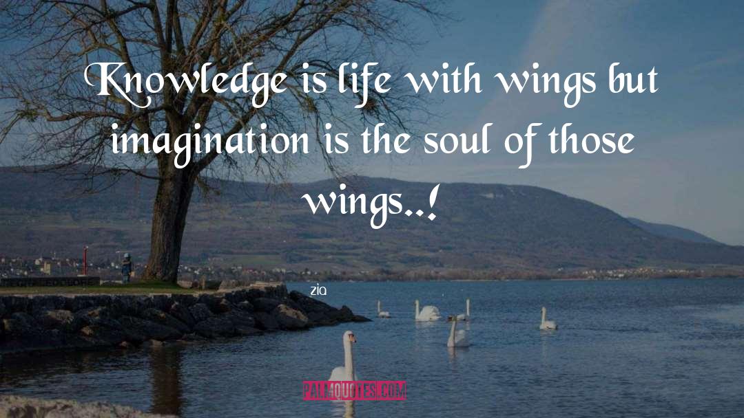 Zia Quotes: Knowledge is life with wings
