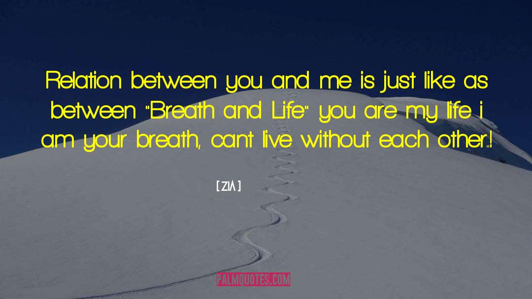 Zia Quotes: Relation between you and me