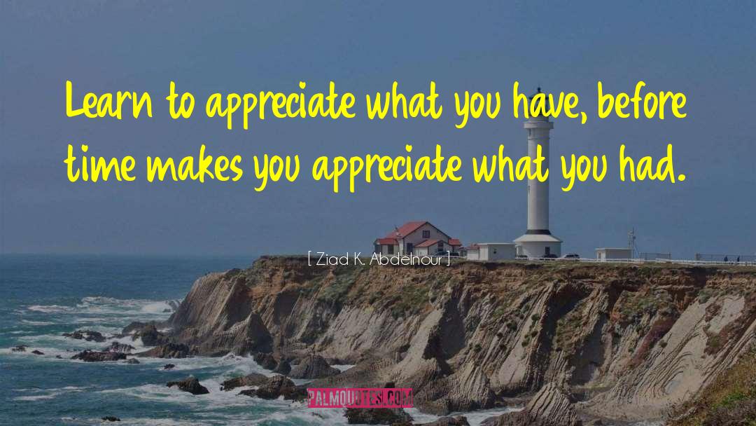 Ziad K. Abdelnour Quotes: Learn to appreciate what you