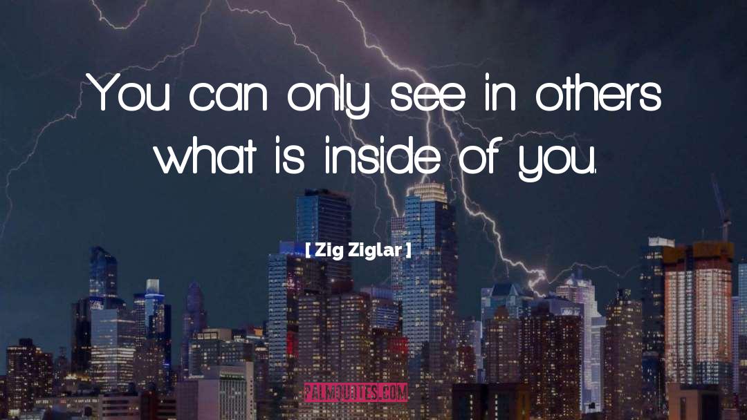 Zig Ziglar Quotes: You can only see in