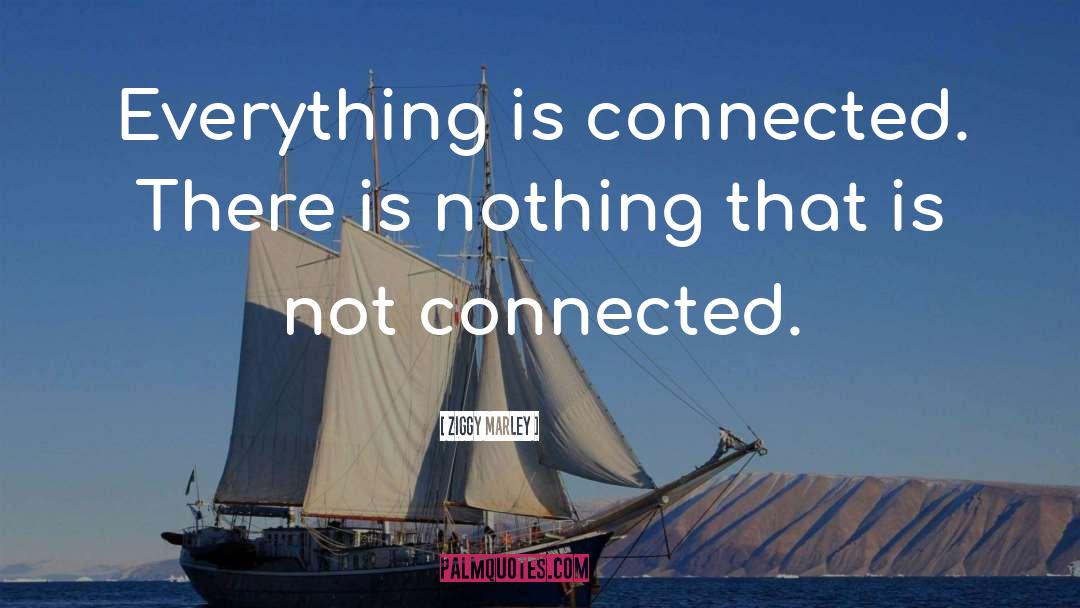 Ziggy Marley Quotes: Everything is connected. There is