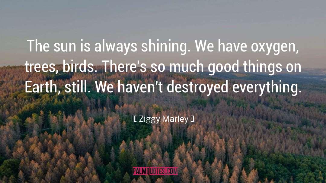Ziggy Marley Quotes: The sun is always shining.
