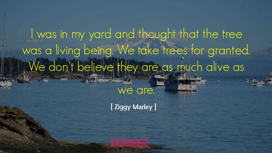 Ziggy Marley Quotes: I was in my yard