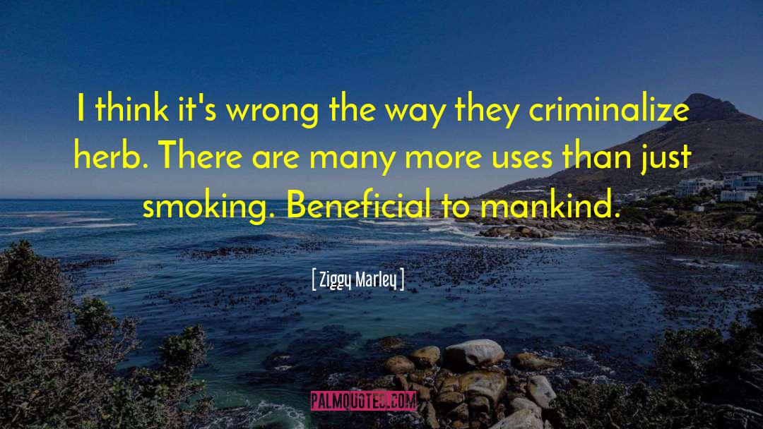 Ziggy Marley Quotes: I think it's wrong the