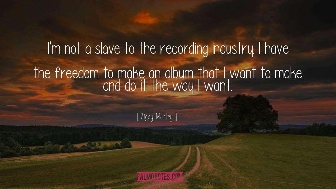 Ziggy Marley Quotes: I'm not a slave to