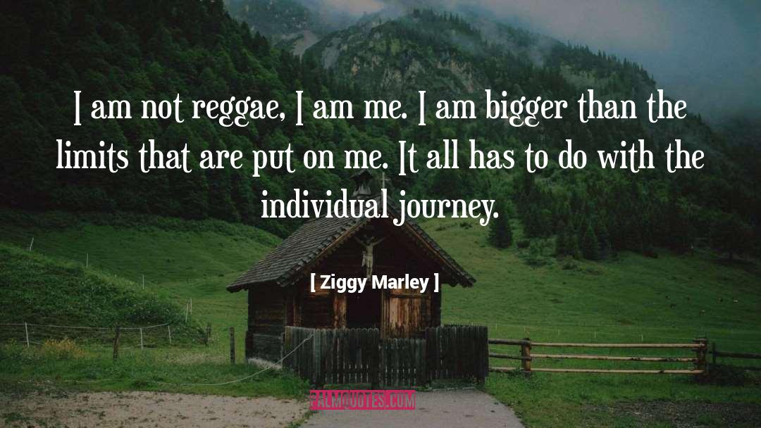 Ziggy Marley Quotes: I am not reggae, I