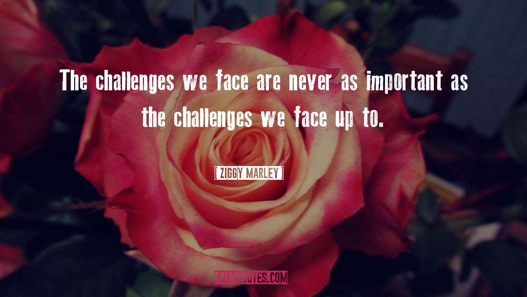 Ziggy Marley Quotes: The challenges we face are