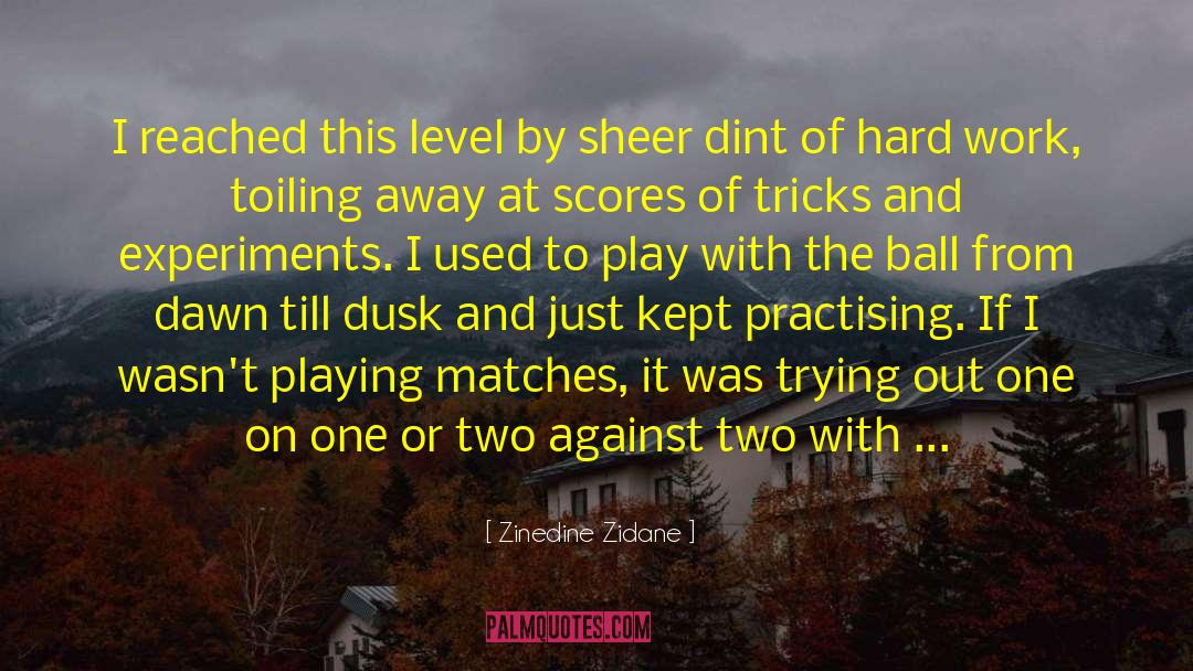 Zinedine Zidane Quotes: I reached this level by
