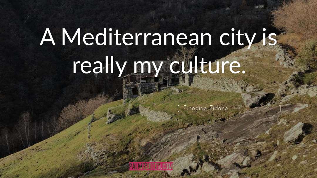 Zinedine Zidane Quotes: A Mediterranean city is really