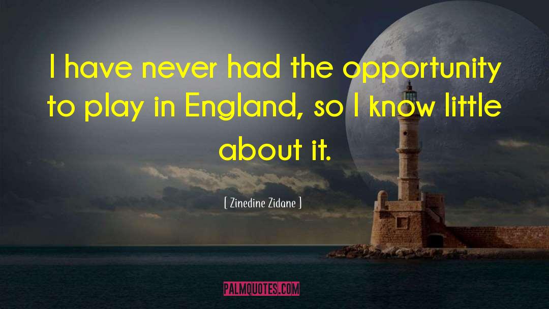 Zinedine Zidane Quotes: I have never had the