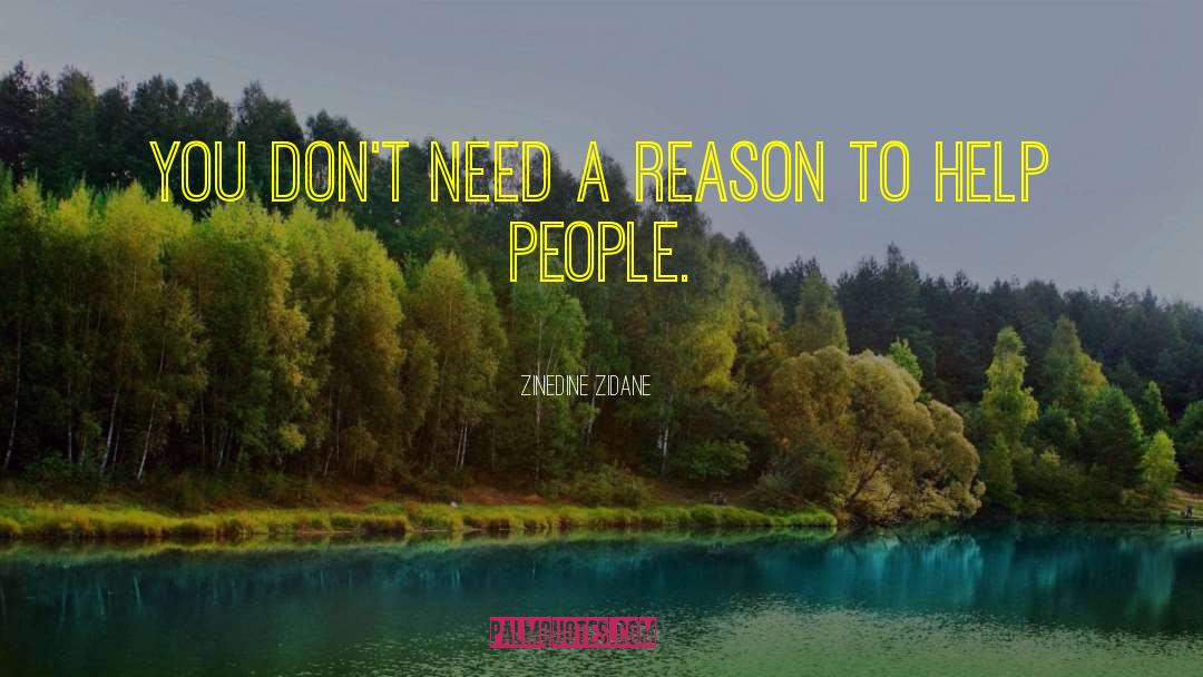 Zinedine Zidane Quotes: You don't need a reason