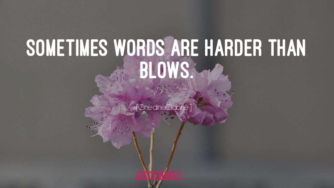 Zinedine Zidane Quotes: Sometimes words are harder than