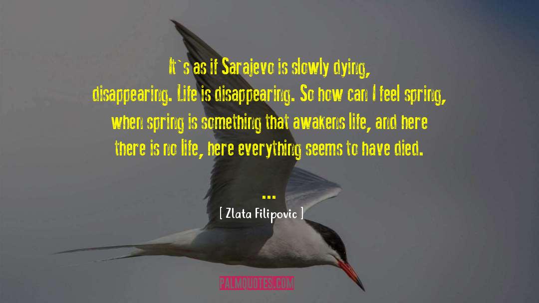 Zlata Filipovic Quotes: It's as if Sarajevo is