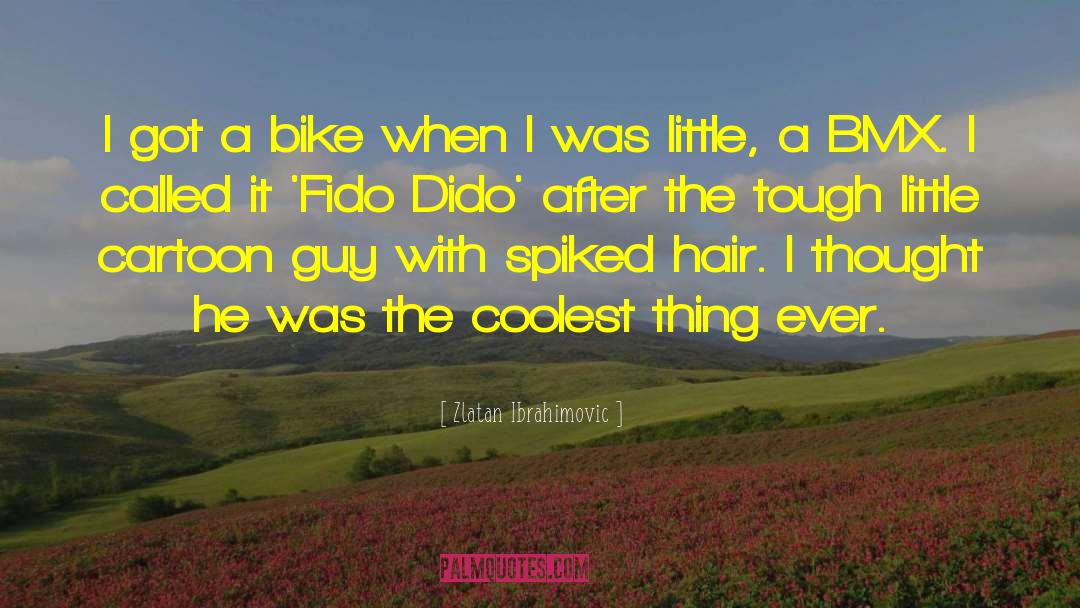 Zlatan Ibrahimovic Quotes: I got a bike when