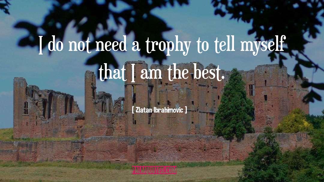 Zlatan Ibrahimovic Quotes: I do not need a