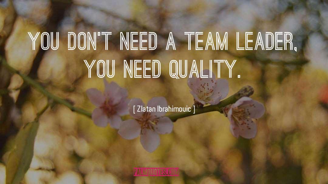 Zlatan Ibrahimovic Quotes: You don't need a team