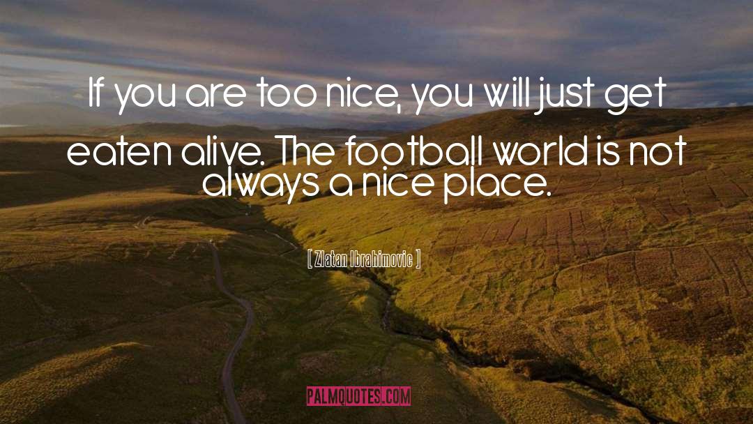 Zlatan Ibrahimovic Quotes: If you are too nice,