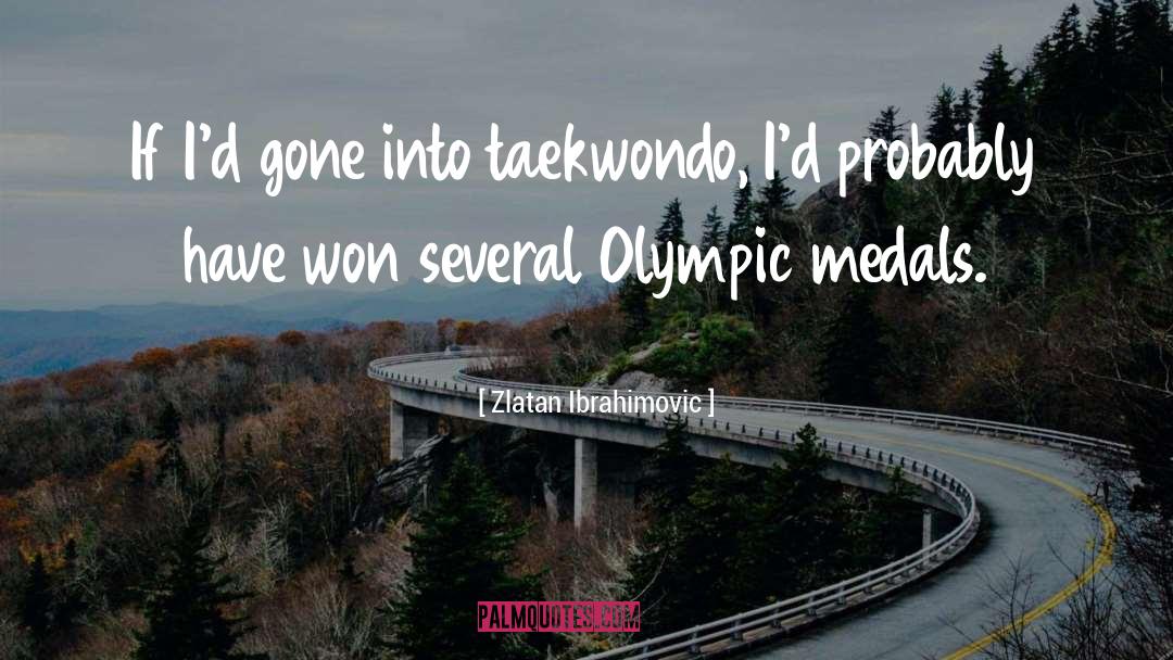 Zlatan Ibrahimovic Quotes: If I'd gone into taekwondo,