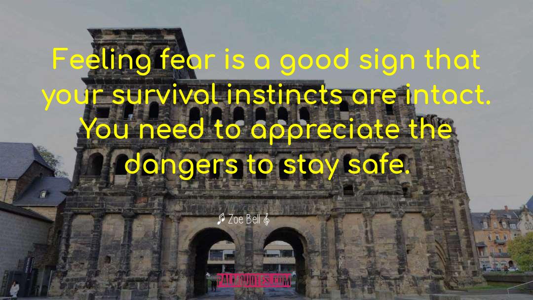 Zoe Bell Quotes: Feeling fear is a good