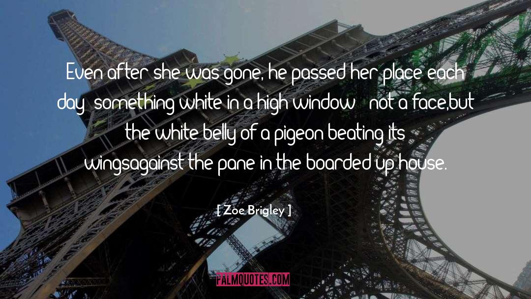 Zoe Brigley Quotes: Even after she was gone,