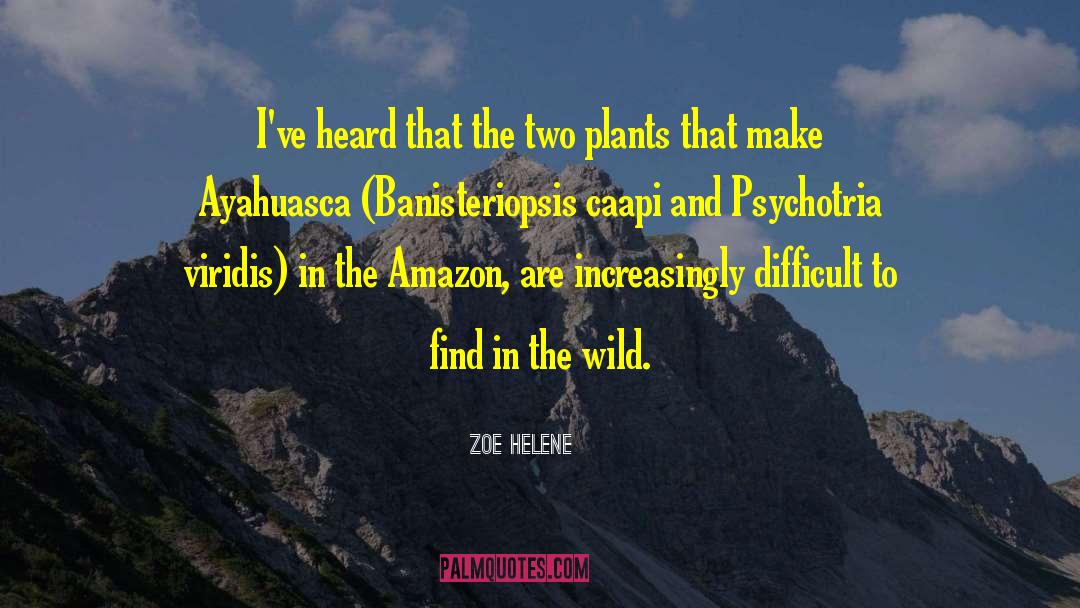 Zoe Helene Quotes: I've heard that the two