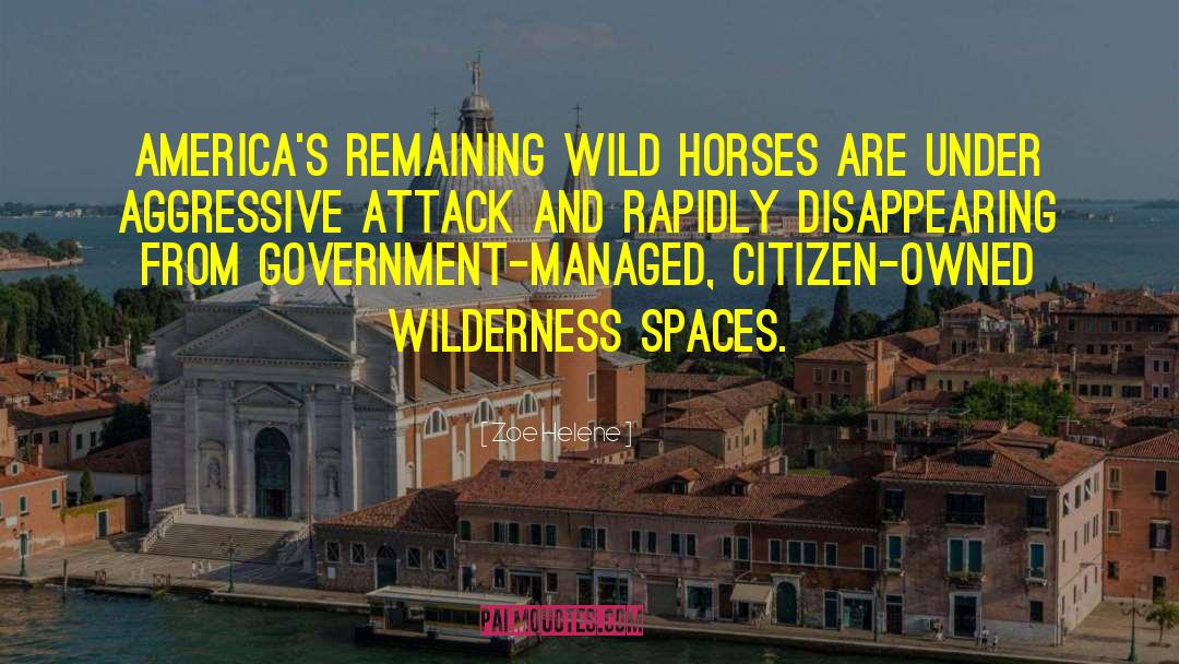 Zoe Helene Quotes: America's remaining wild horses are