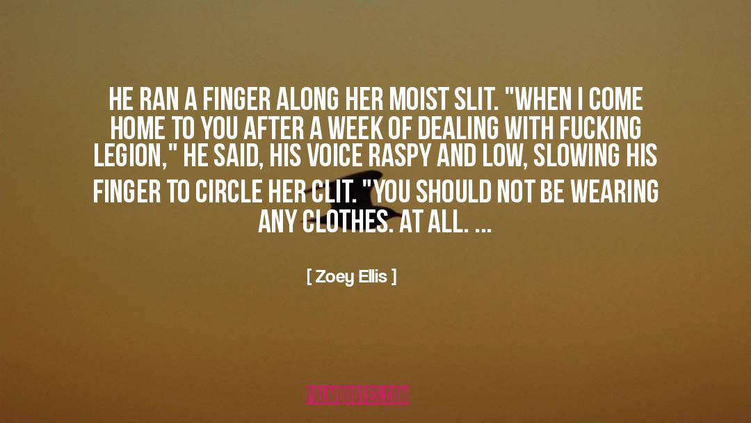 Zoey Ellis Quotes: He ran a finger along