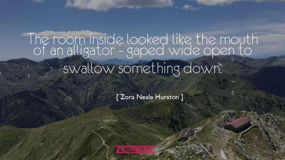 Zora Neale Hurston Quotes: The room inside looked like