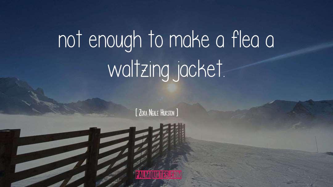 Zora Neale Hurston Quotes: not enough to make a