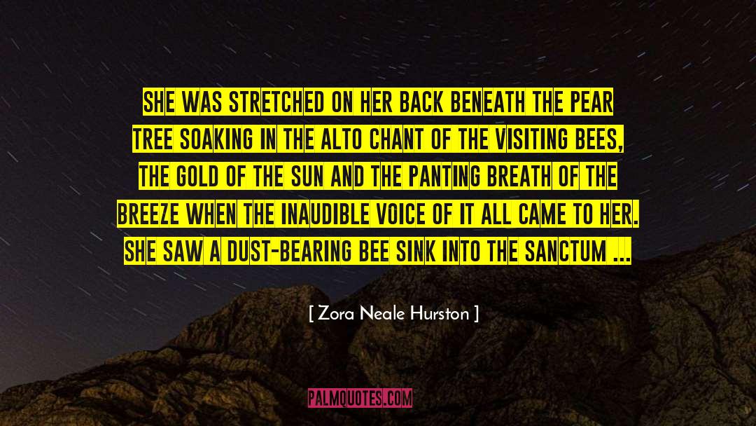 Zora Neale Hurston Quotes: She was stretched on her