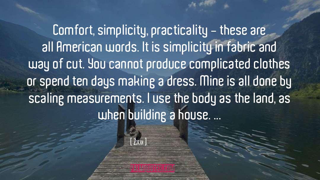 Zoran Quotes: Comfort, simplicity, practicality - these