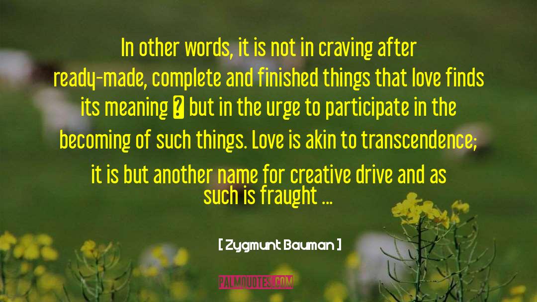 Zygmunt Bauman Quotes: In other words, it is