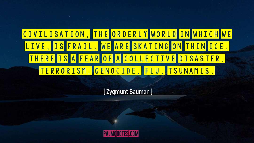 Zygmunt Bauman Quotes: Civilisation, the orderly world in