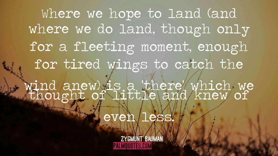 Zygmunt Bauman Quotes: Where we hope to land