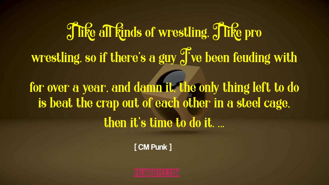 1 Cm To Mm quotes by CM Punk