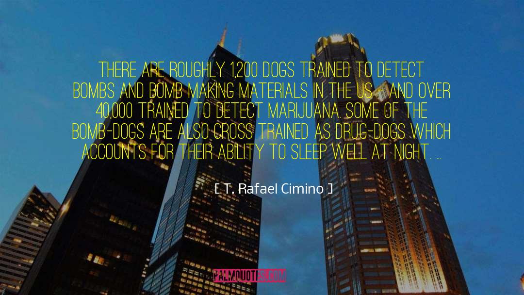 1 Night In Paris quotes by T. Rafael Cimino