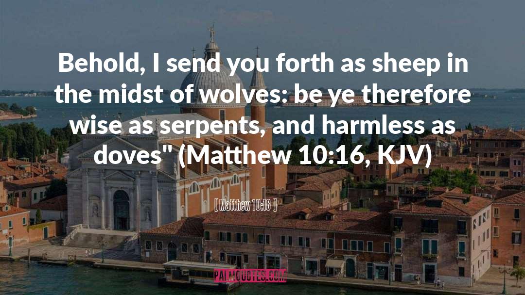 10 Solo Ads quotes by Matthew 10:16