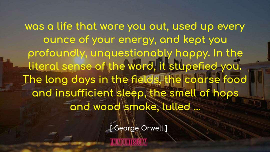 100 Happy Days quotes by George Orwell